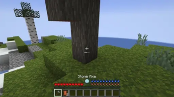 Bark Harvesting and Hide Tanning