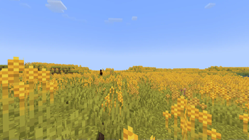 Pasture Biome