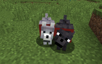 New wolves