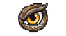Eagle eye