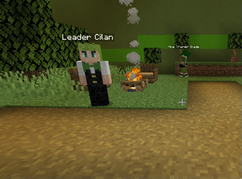 Grass Gym ft. Leader Cilan