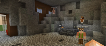 Rock Gym ft. Leader Brock