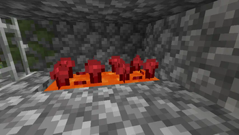 Nether Wart