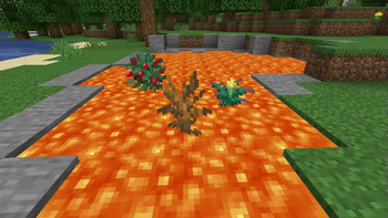 Torchflower in 2nd growth stage(Version 1.0.1)