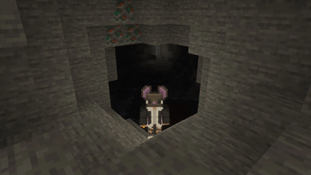 Bat 