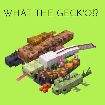 WHAT THE GECK'O!?