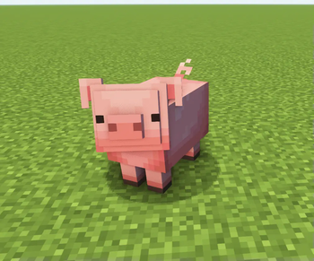 pig