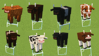 Cow variants