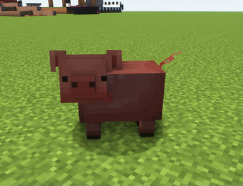 pig