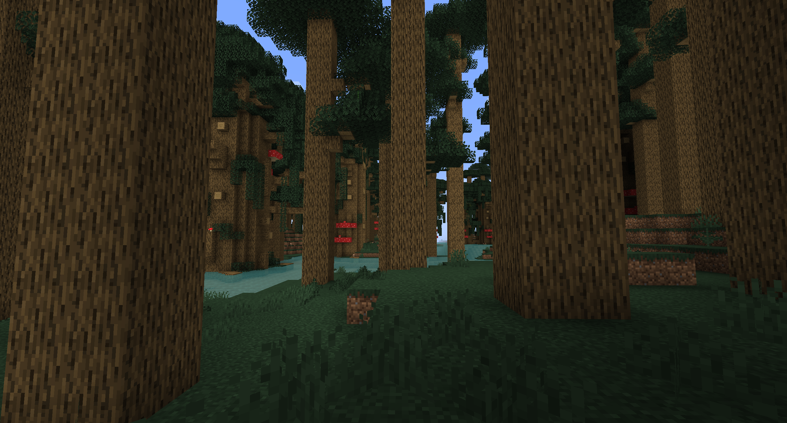 Ancient Oak Forest