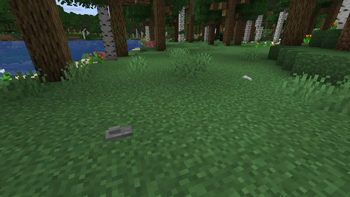 Find sticks and stones to start your adventure