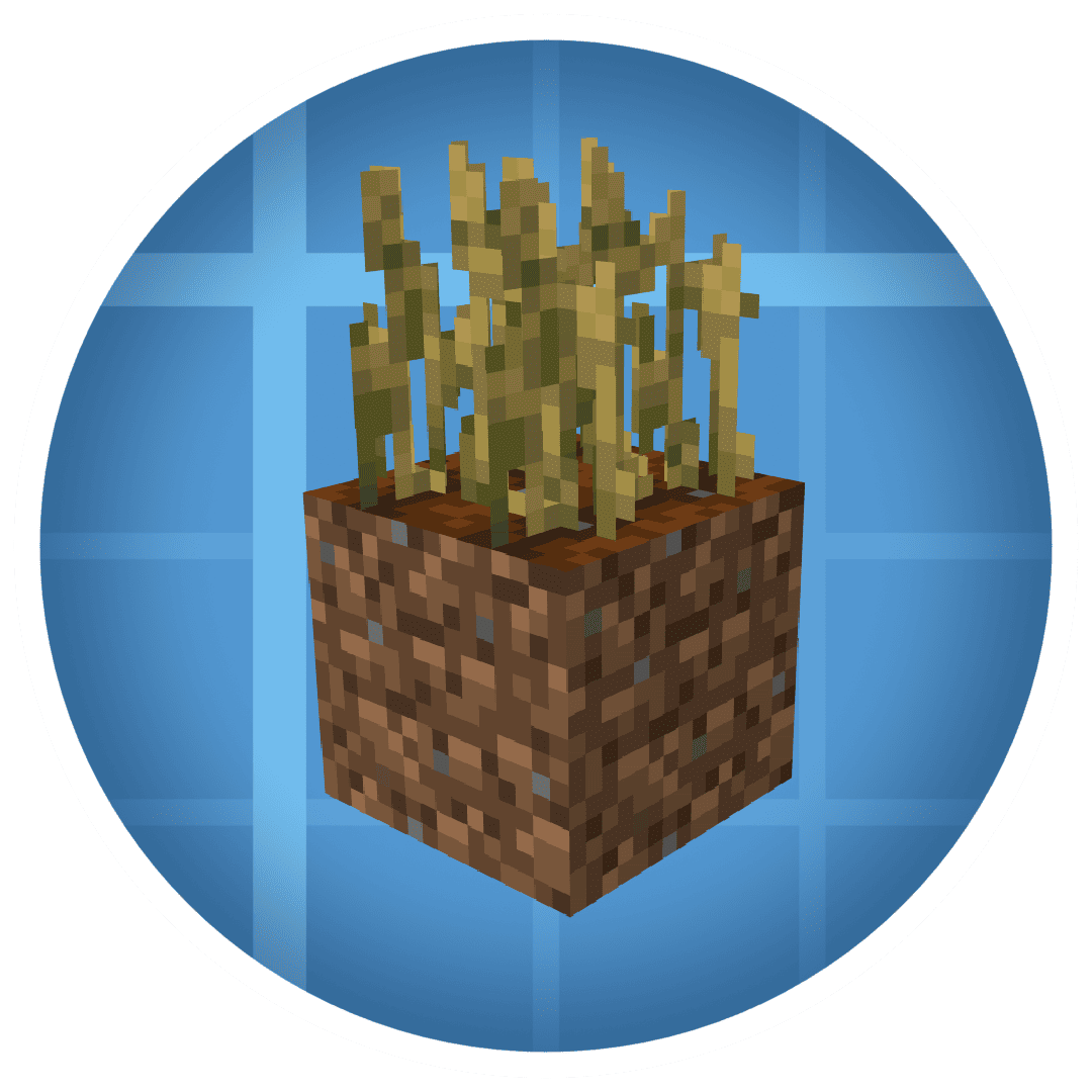 Create: CC More Bases