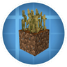 Create: CC More Bases