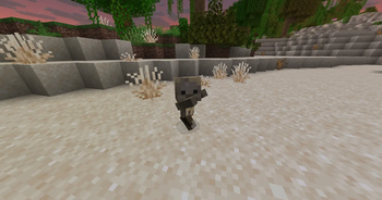 Baby Husk