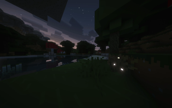 Dark Oak Forest