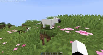 The-BedrockSMP — screenshot 3