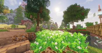 Scene 2