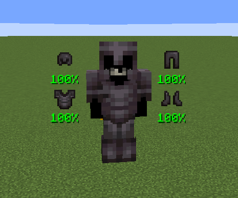 View the F5 armor indicator