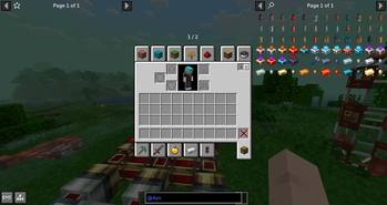 Player Inventory