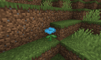 Blue Rose