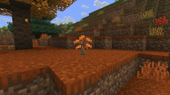 Sapling (Before)