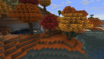 Forest (After)