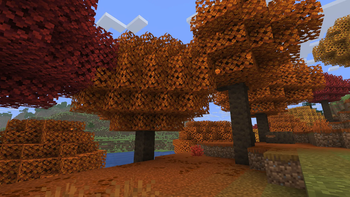 Forest Floor (Before)