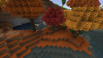 Forest (Before)