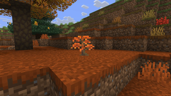 Sapling (After)