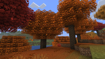 Forest Floor (After)