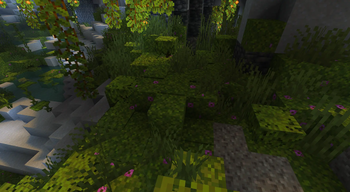 Moss with Flower