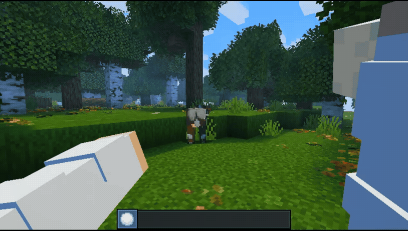 First-person Throwing Motion