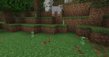 The size of mini creeper.
