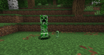 The size of mini creeper.