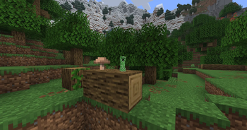 The size of mini creeper.