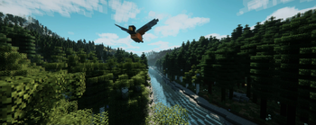 Bird flying over the forest.