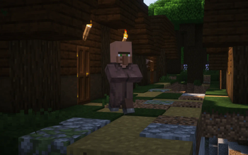 Villager