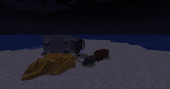 Sleeping Animals