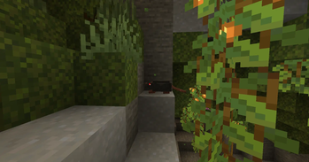 Rat in Caves