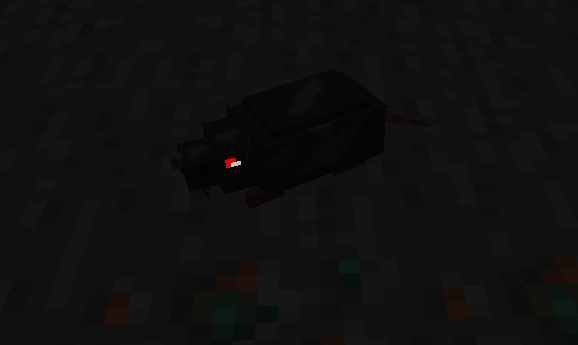 Rat