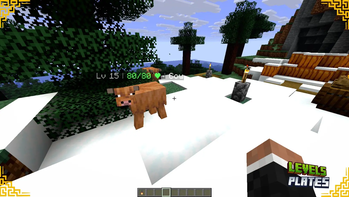 Cow