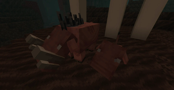 Soulsand Valley Hoglins
