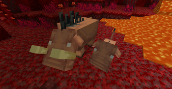 Hoglins