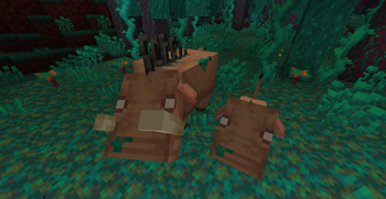 Warped Forest Hoglins