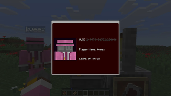 Locator Terminal with player locator