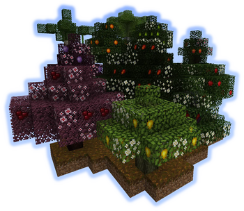 Fruit Trees