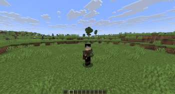 Third Person Preview