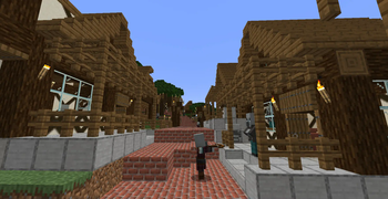 Pillager Village