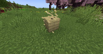 Smooth Particles Reborn