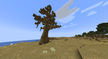 Velen Tree